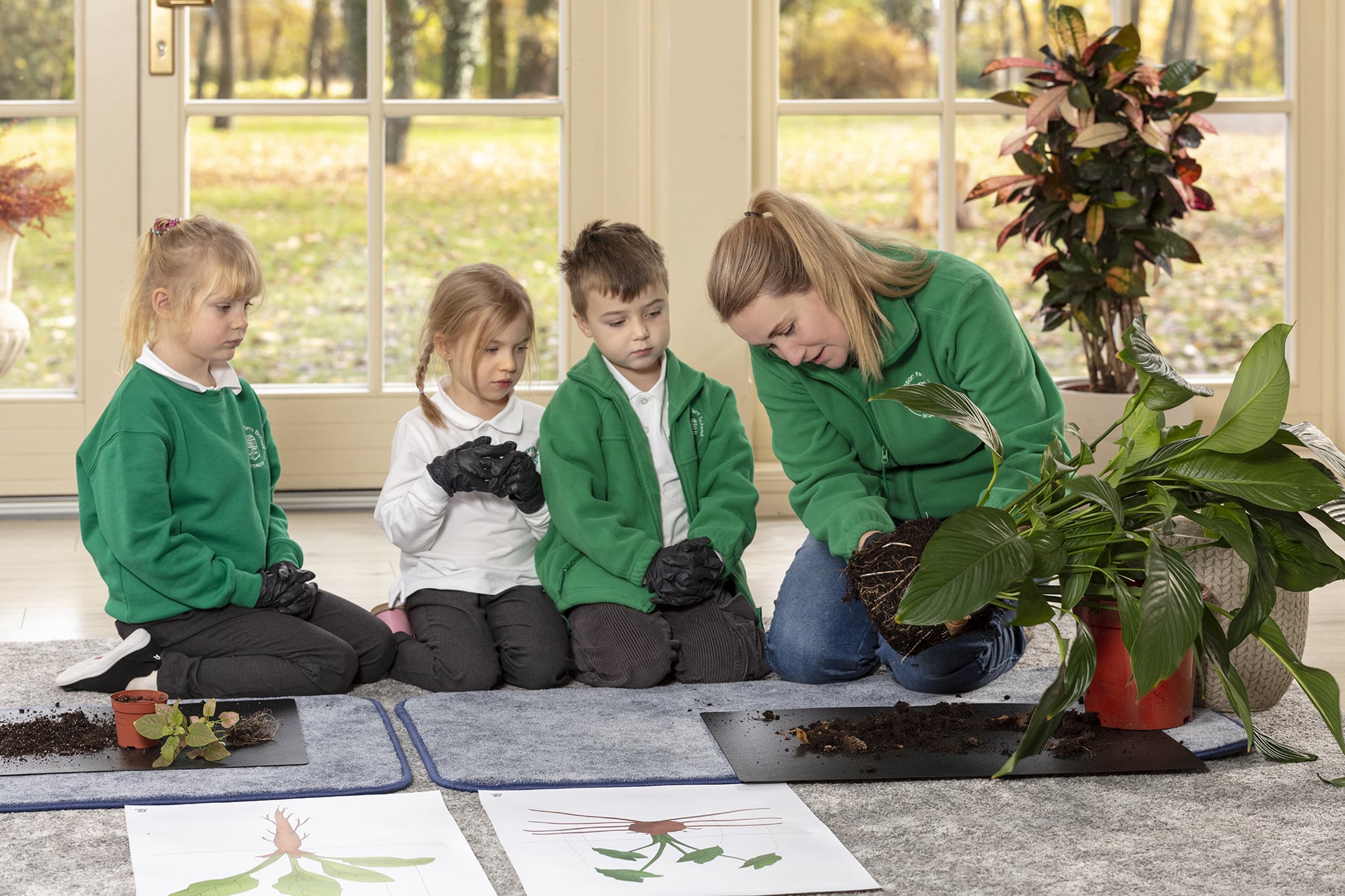 przyroda Montessori - budowa rośliny